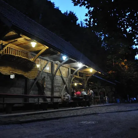 Kamp Jankovic Gorenjcj