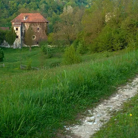 Kamp Jankovic Gorenjcj