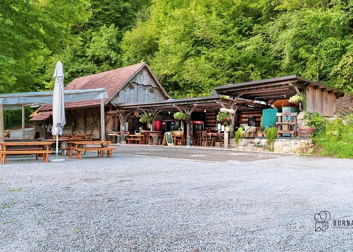 Kamp Jankovic Gorenjcj