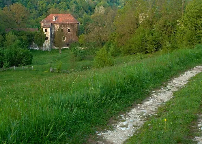 Kamp Jankovic Gorenjcj